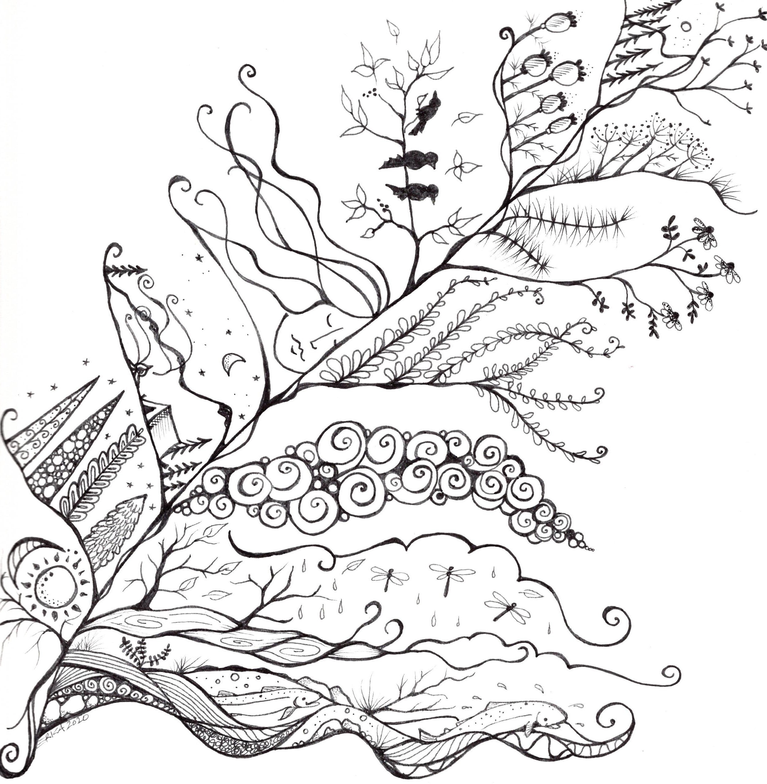 Ladyfern Designs